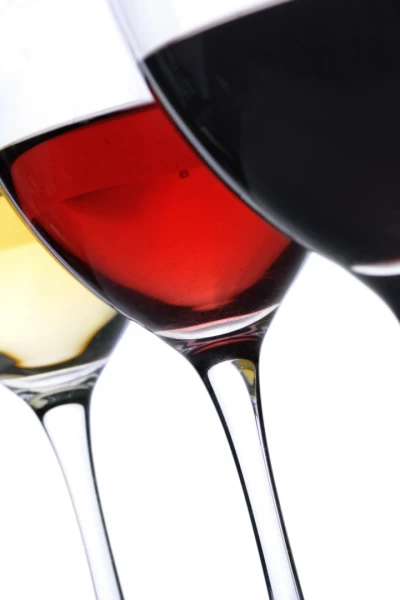 Tierra de vinos