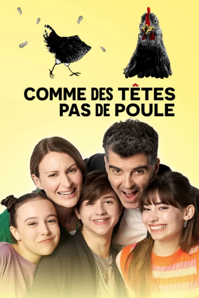 Comme des têtes pas de poule