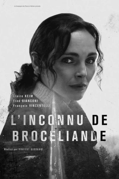 Assassinat a Brocelandia