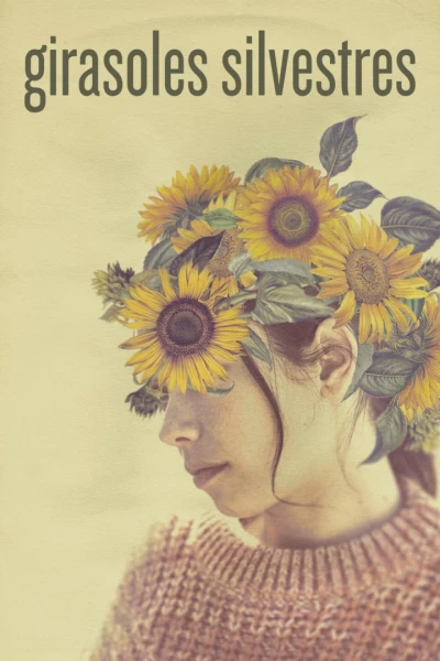 Girasols silvestres
