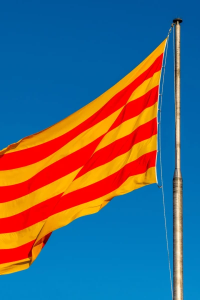 Especial Diada
