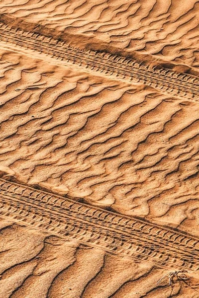 Extreme E: Desert X Prix. T(2025). Extreme E: Desert... (2025): Carrera 2