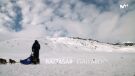 Bienvenidos al mushing
