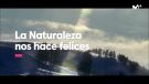 Los documentales de naturaleza nos hacen felices | BBC Earth en #0