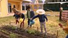 La vida secreta de los niños T3 : Iker y el huerto| #0
