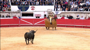 El editorial (29/11/2018)