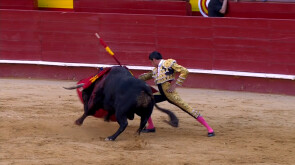 Feria de Julio (27/07/2019)