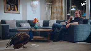 Saturday Night Live T45 - David Harbour
