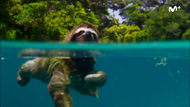 BBC Earth - Planeta Tierra II: Islas