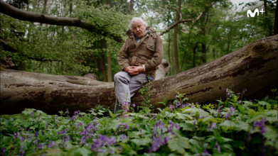 David Attenborough: rompiendo el cascarón | #0