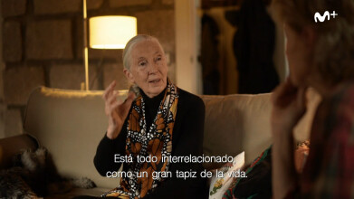 Scott y Milá: Jane Goodall | #0