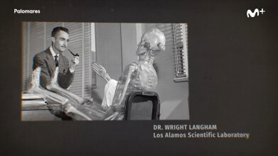 Palomares - Ep.2 - Mr. Langham