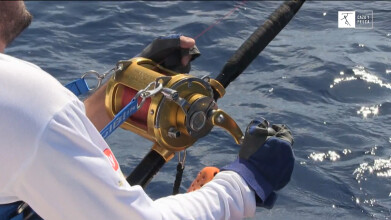 Promo Veda Abierta Pesca